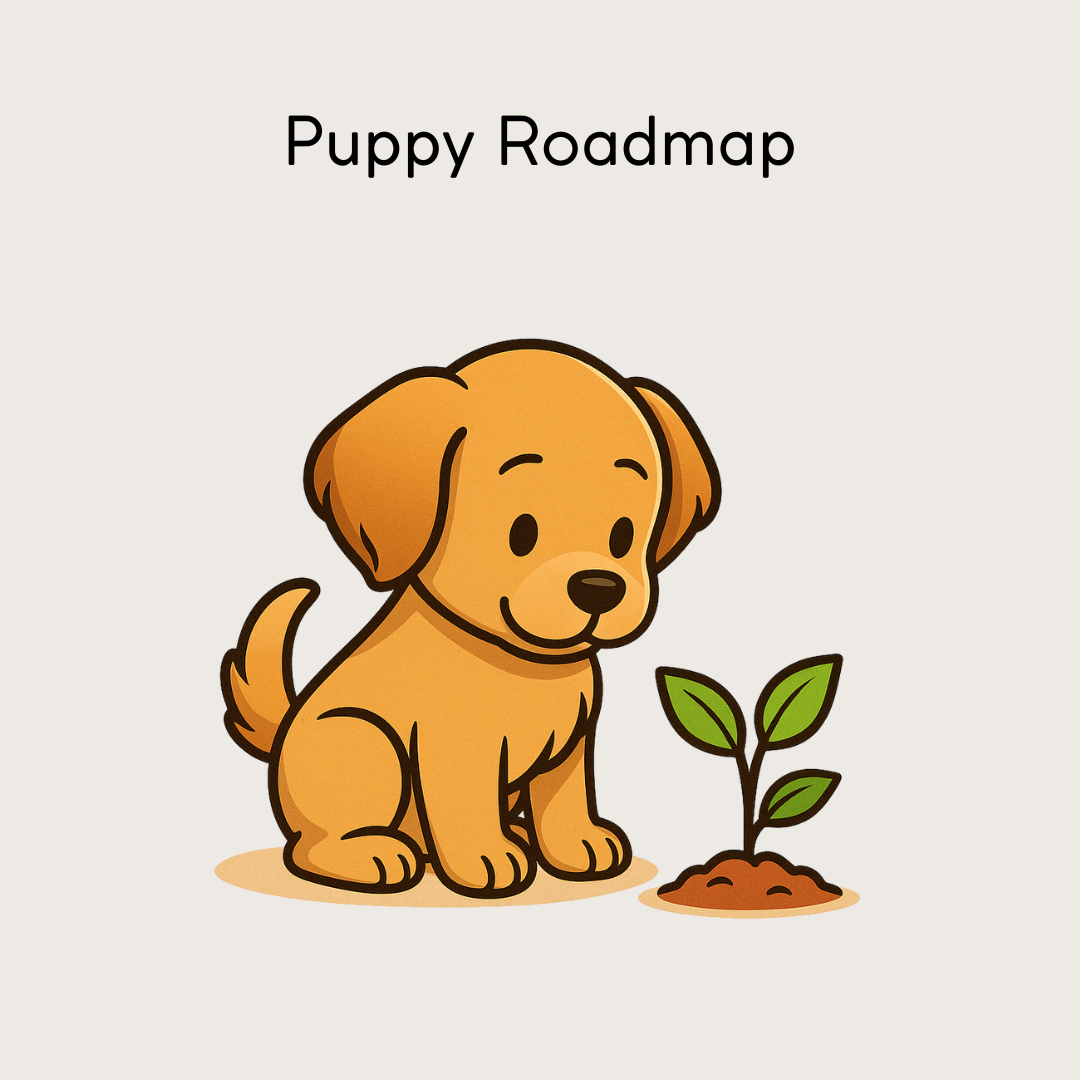 Puppy Roadmap - alles wat je nodig hebt om met rust en vertrouwen te s –  Paws and Plans, image size:1080x1080