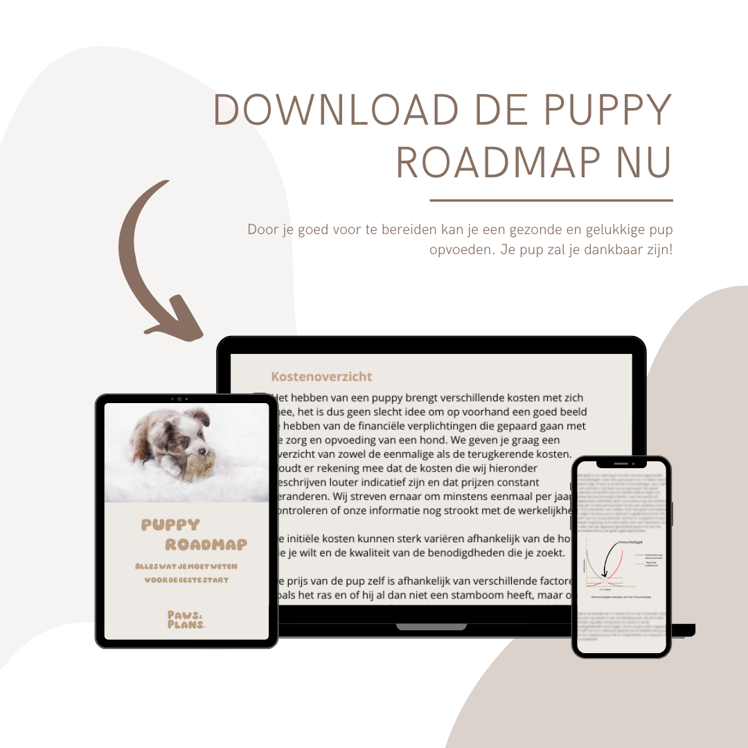 E-book: Puppy Roadmap