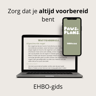 EHBO-gids