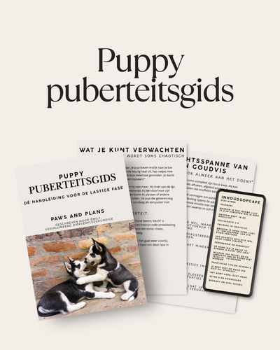 Puppy bundel