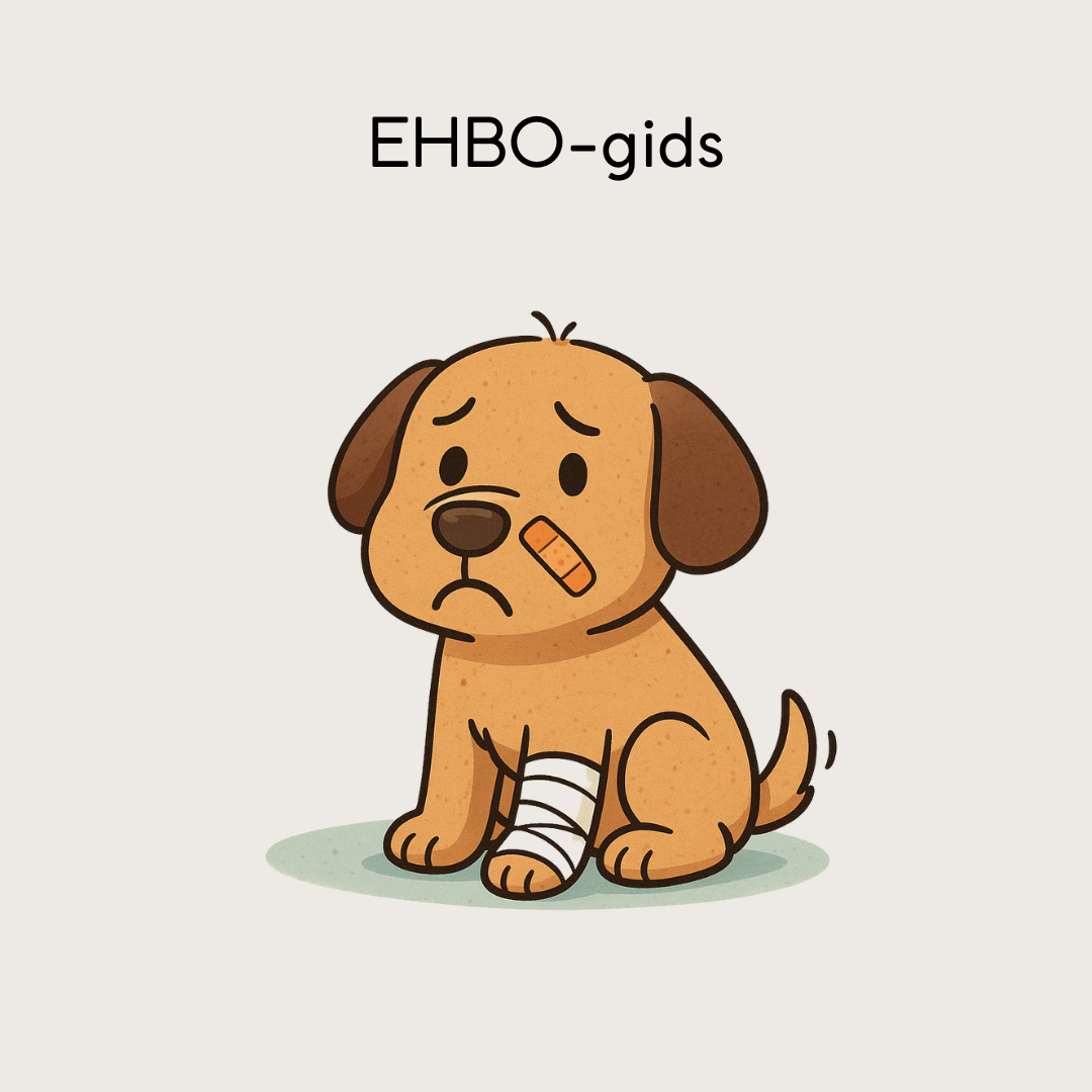 EHBO-gids