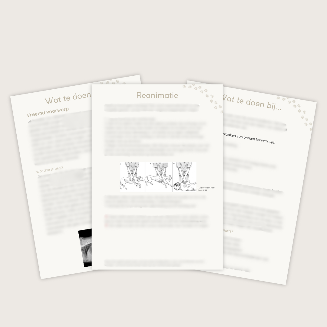 EHBO-gids voor honden