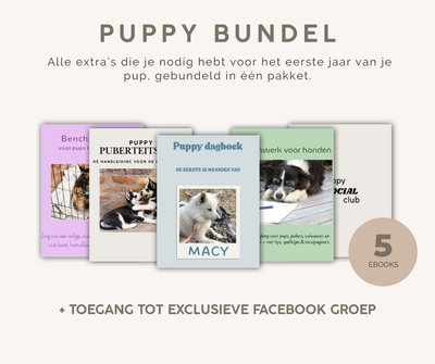Puppy bundel