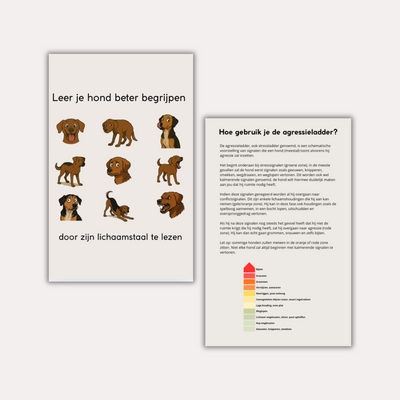 Leer je hond beter begrijpen door zijn lichaamstaal te lezen